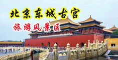 操逼网站视频WW中国北京-东城古宫旅游风景区